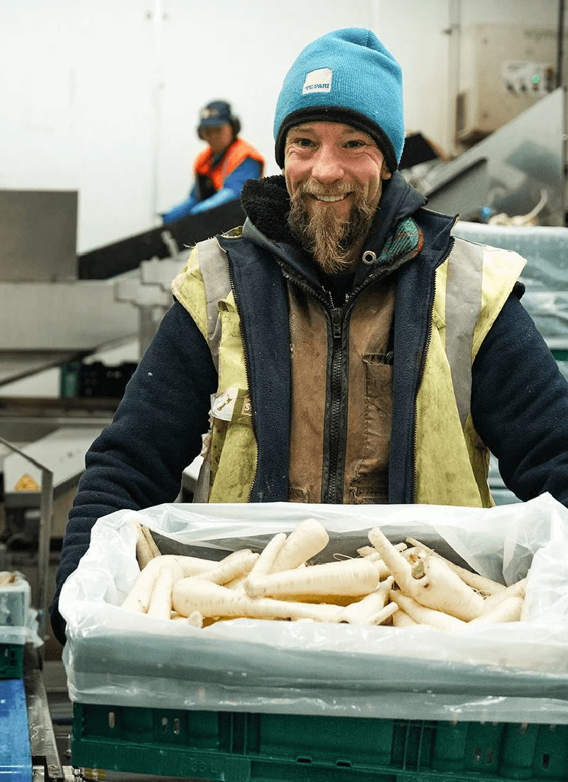 Worker smiling in packhouse while holding a crate of freshly harvested So Sweet parsnips ready for grading and packing.