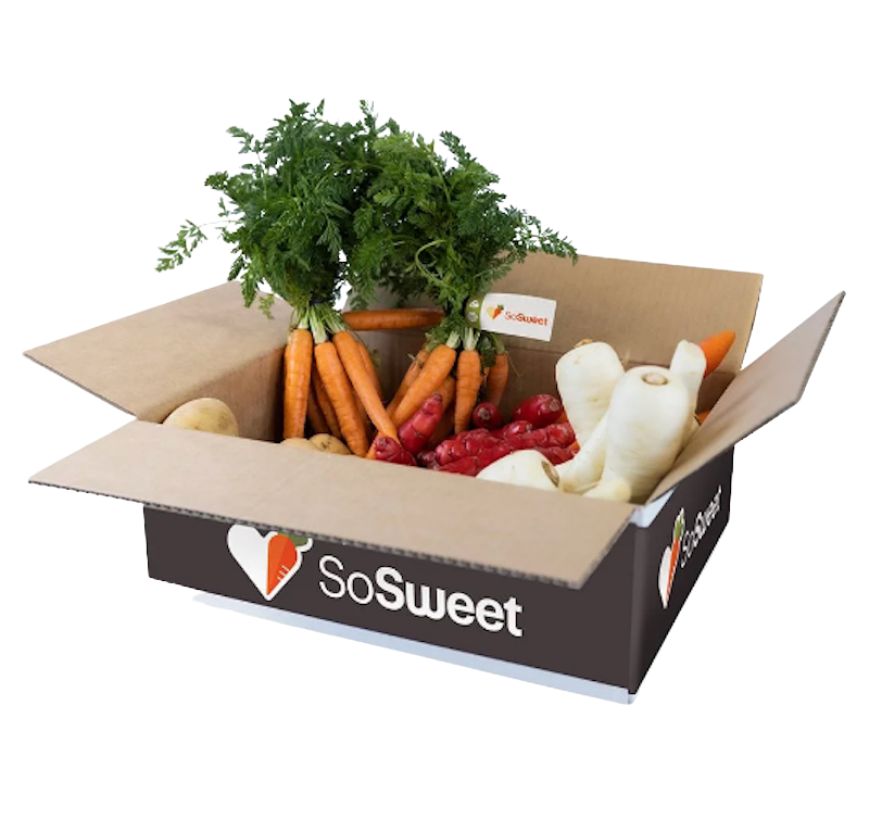 Nationwide fundraising boxes NZ filled with fresh Southland-grown vegetables including carrots, parsnips, onions and potatoes.