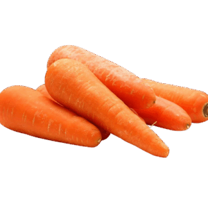 Fresh organic macro carrots, larger in size and bright orange, showing clean, firm roots ready for packing or display.