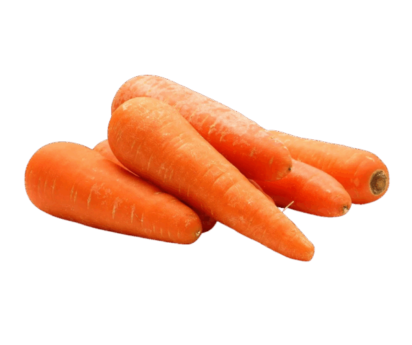 Fresh organic macro carrots, larger in size and bright orange, showing clean, firm roots ready for packing or display.