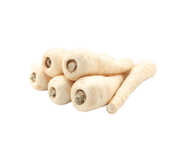 Fresh So Sweet parsnips stacked together, cut out on a transparent background.
