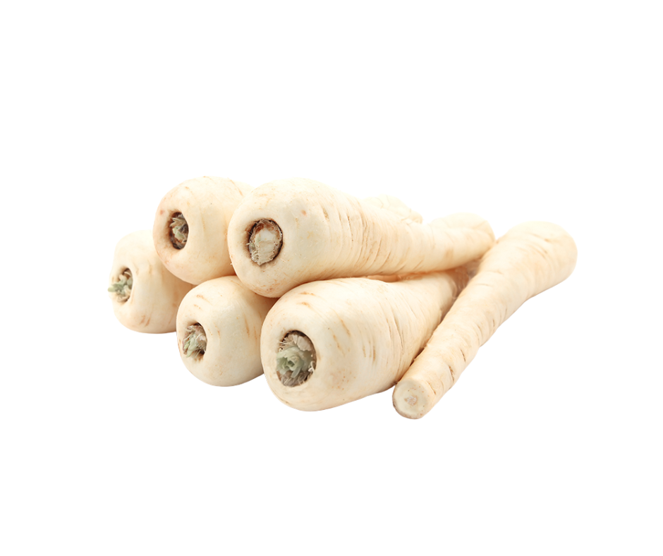 Parsnip - PNG