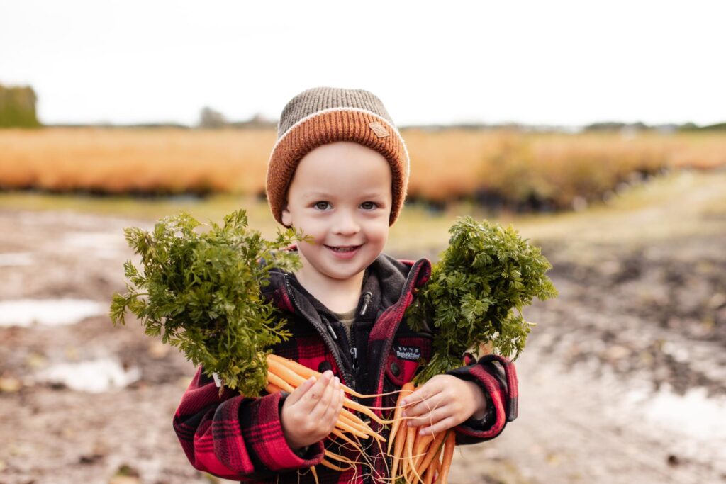 Fresh organic carrots from So Sweet certified under AsureQuality and New Zealand Organic Certification