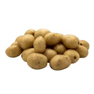 Fresh So Sweet Organic Jersey Benne Potatoes, small and golden with smooth skin, freshly harvested and ready for market.