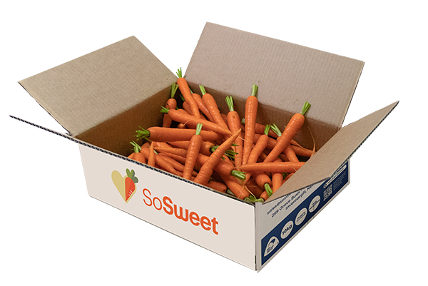 Buy baby carrots NZ grown in Southland packed fresh in 5kg box
