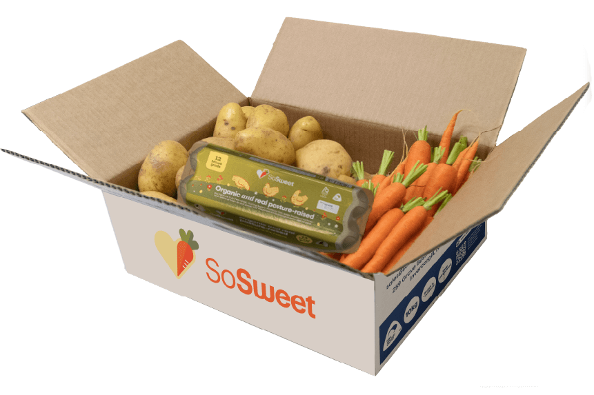Organic vegetable box NZ packed with fresh seasonal produce