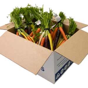 Buy bunch carrots NZ fresh with tops grown in Southland
