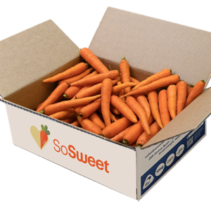 Buy organic carrots NZ fresh from Southland farm