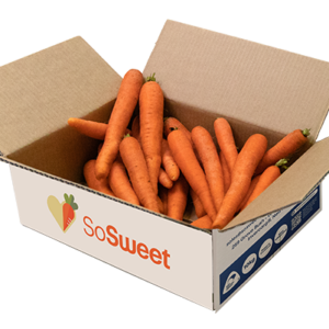 Organic juicing carrots NZ grown in Southland packed in 5kg box