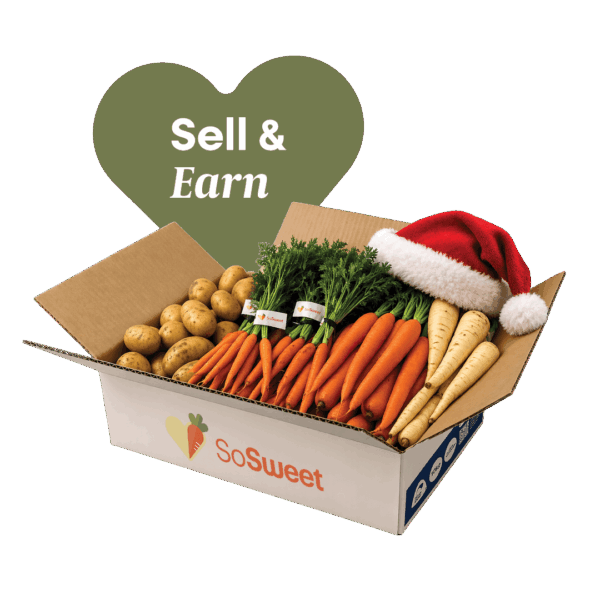 Christmas Seller Programme | So Sweet