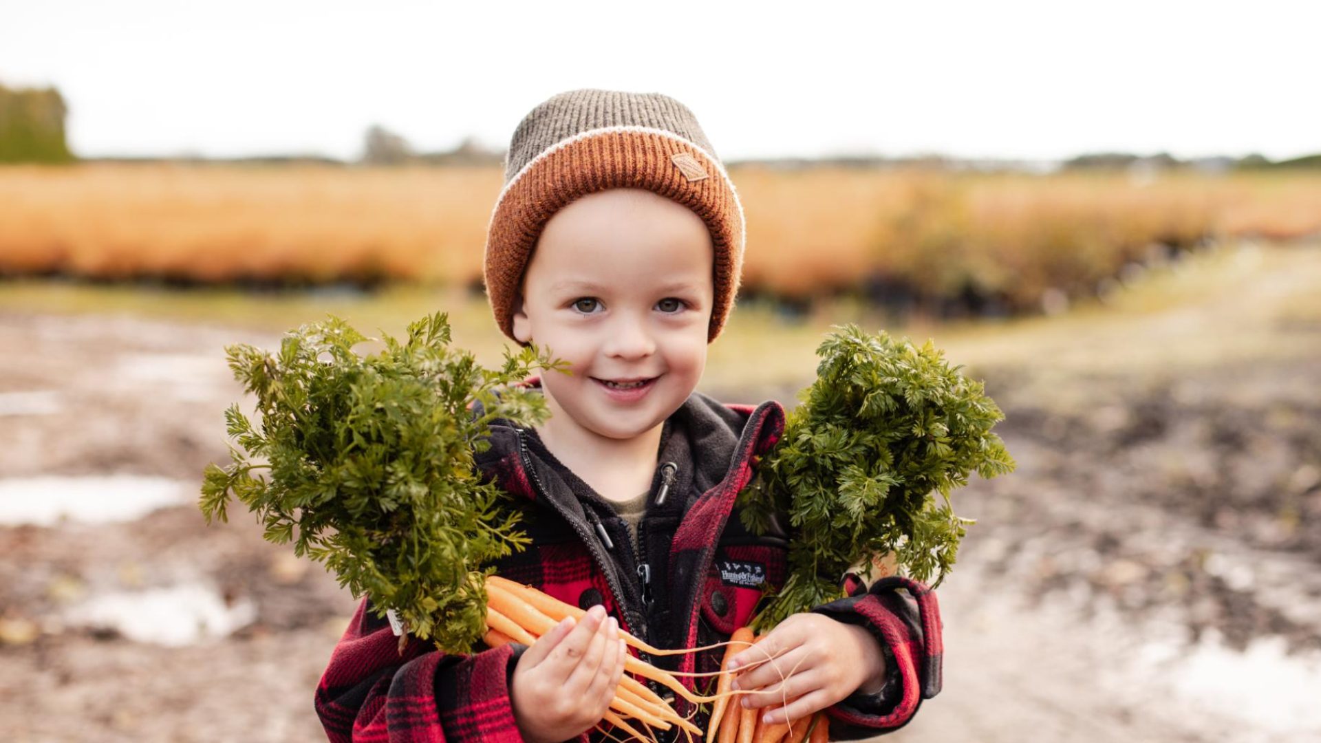 Fresh organic carrots from So Sweet certified under AsureQuality and New Zealand Organic Certification